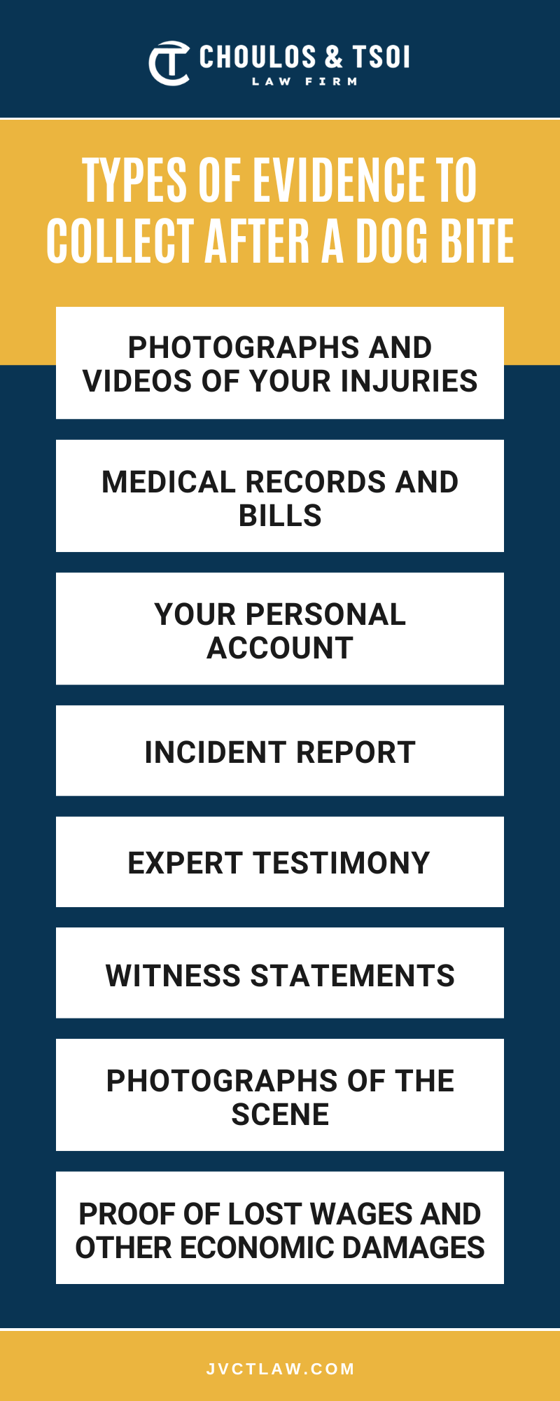 Types Of Evidence To Collect After A Dog Bite Infographic